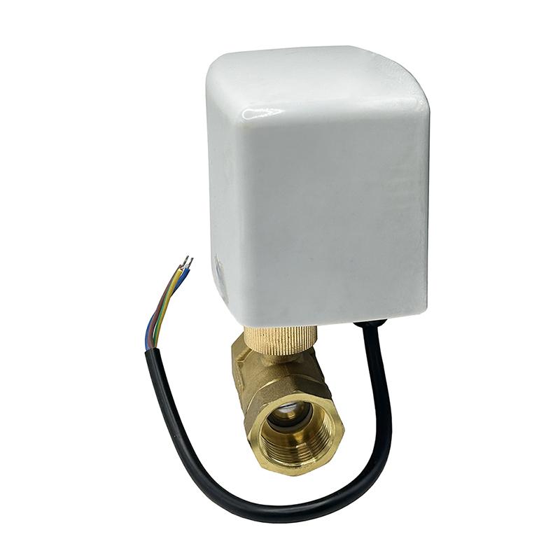 1/2" 3/4" 1" 1-1/4" 2" Motorisierter Kugelhahn 12V 24V 220V 3-Draht 2-Steuerung Elektrische Kugelhähne Wasserhahn