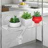 Kitchen Window Herb Stand Sill Plant Shelf with Strong Suction Cups, Clear Acrylic Wall Small Item Display Rack Mounted Floating Ledge, for