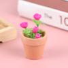 1Pcs Miniatura Miniatura Casa de Bonecas Rosa Planta em Vaso
