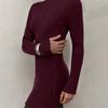 Women's Long-Sleeve Half-High Neck Elegant Playful A-Line Knit  Dress