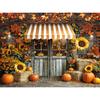 Fall Autumn Theme Backdrop Harvest Rustic Barn Hay Pumpkins Kids Birthday Portrait Decor Photography Background for Photo Studio20
