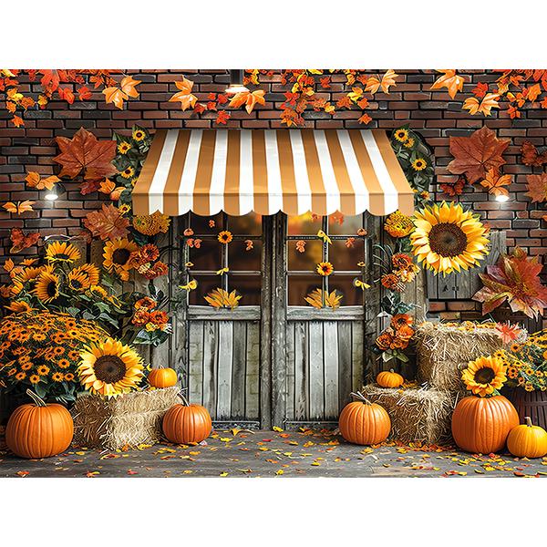 Fall Autumn Theme Backdrop Harvest Rustic Barn Hay Pumpkins Kids Birthday Portrait Decor Photography Background for Photo Studio20