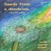 Seeds from a Dandelion by Karen Gemma Brewer Paperback Book 9781908146083