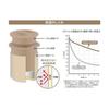 Thermos Lunch Box 250ml Light Beige Disney DBQ-257DS LBE Mickey Light Beige 19.5 x 9.5 x 10.5 cm