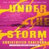 Under the Storm by Rachel WillsonBroyles Paperback Book 9780593449387