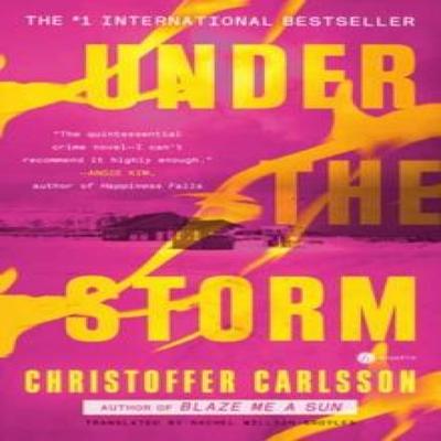 Under the Storm by Rachel WillsonBroyles Paperback Book 9780593449387