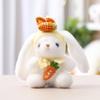 Plush Bunny Toy Girl Gift With Soft Fabric For Girls And Collection
