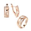 New  Rose Gold Square Drop Earrings Ring Stes Fashion Women Geometry Natural Zircon Ring Fine Daily Boho Jewelry Set