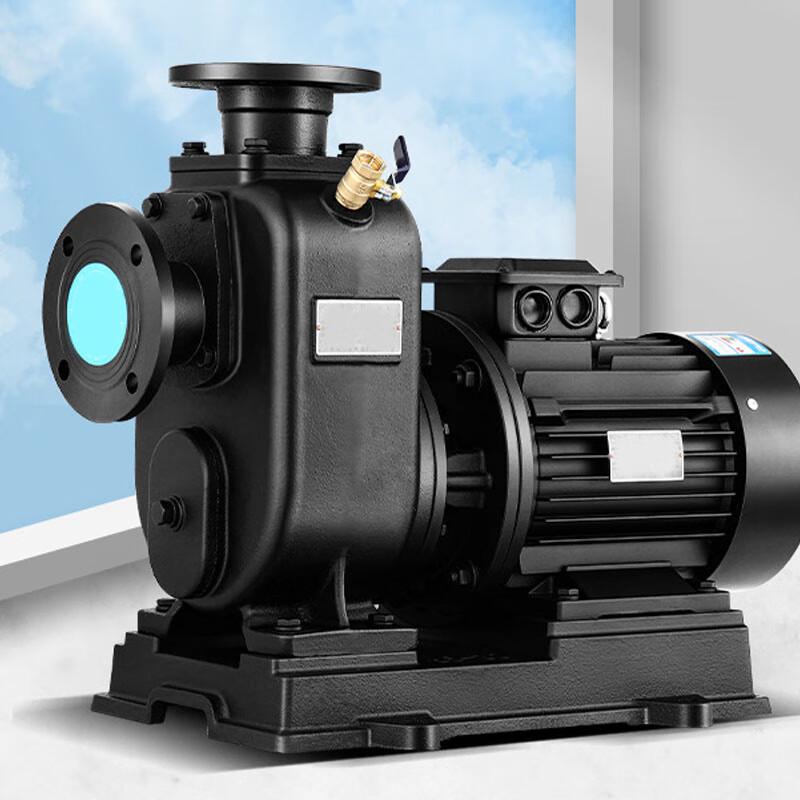 Deli Self-Priming Centrifugal Water Pump