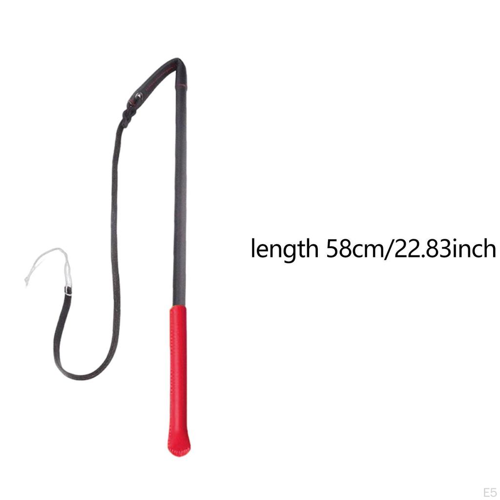 Dog Training: Obedience Training, Exercise, Discipline, Behavior Training with The - Strum