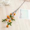 Branch Fruit Hawthorn Hotel Landing Flower Arrangement Decoration Photography