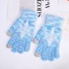 Winter Women's Knitted Plus Velvet Warm Fingerless Cycling and Riding Cute Cold-proof Male Students' Mink Hair Blended Gloves