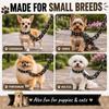 Lightweight Fake Chain Leash Funny Photo Prop Leash Novelty Dog Leash Prop  Puppy Walking