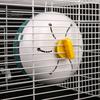 Trainingsspielzeug Hamster Lauf-Joggingrad Indoor Sport Kunststoff Kleintier Bewegungsräder Zubehör