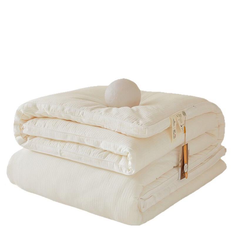 Brangdy Thickened Soybean Fiber Duvet