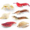 Highquality Marine Pvc Life Models Including Snowman Crab And King Crab Designs