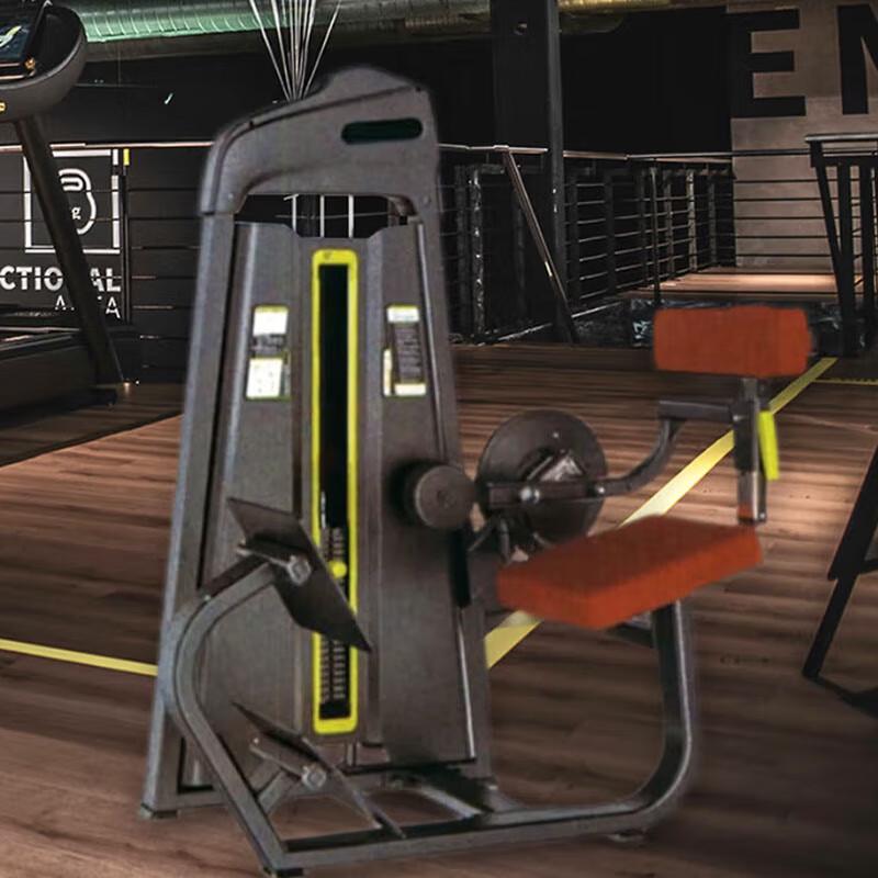 Power Wing LZY-1023 Seated Back Trainer
