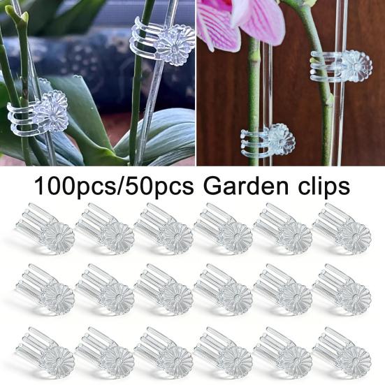 Transparent Plant Orchid Clips Flower Shaped Garden Plant Support Clip Plastic Clear Flowers Vine Clip for Supporting Stems Vines Stalks