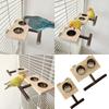 Wood Bird Standing Perch Birdcage Feeder Bowl Parrots Cage Entertainment Parrots Stand Perch Food Water Feeding Bowl