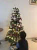 LIHAO Christmas Tree Light Ornaments, 10m, 80 Bulbs, Illumination, LED Tree Lights, Christmas Lights, Snowflakes, Snowflakes, Christmas Ornaments,