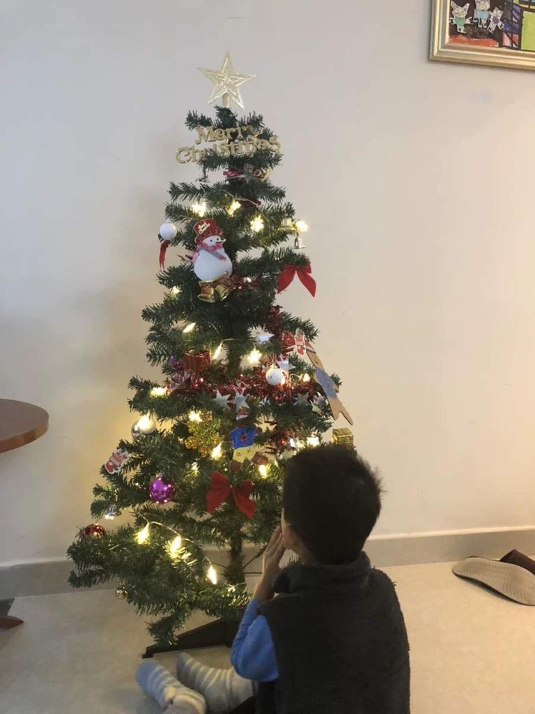 LIHAO Christmas Tree Light Ornaments, 10m, 80 Bulbs, Illumination, LED Tree Lights, Christmas Lights, Snowflakes, Snowflakes, Christmas Ornaments,