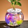 Plastic Turtle Aquarium Shatterproof Goldfish Tank Tortoise Enclosure Turtle Terrarium  Home Decor