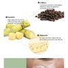 HARUHARU WONDER Centella Phyto & 5 Peptid Konzentrat Creme