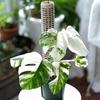2pcs Plastic Moss Pole Easy Assembly Plant Growth Stand Durable Vine Climbing Column  Indoor Plants