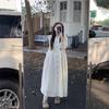Autumn Dress Pleated Long-sleeved Dress Women's New Design Sense High Waist Loose Long A-shaped Skirt Tide