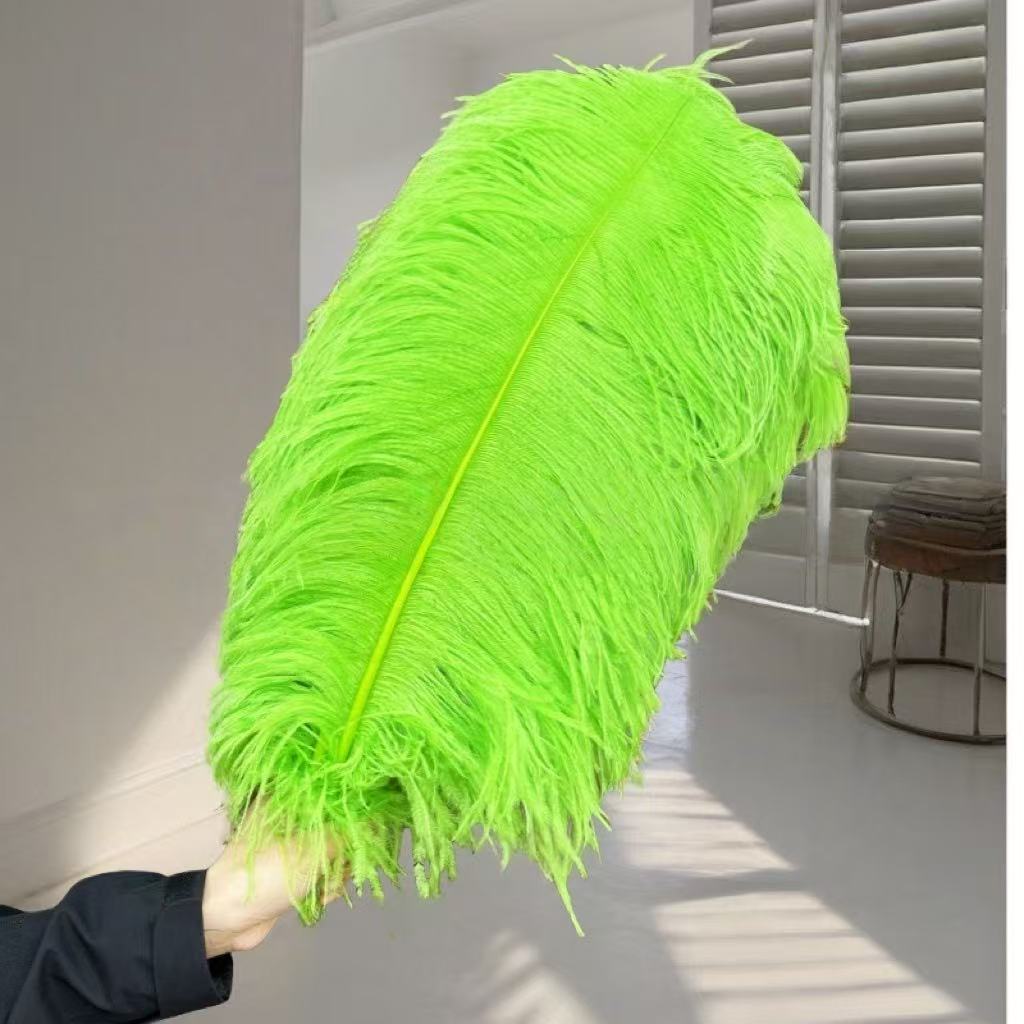 1pcs Ostrich Hair 65-70Cm Photo Feather Wall Wedding Road Guide Decorative Props Colored Feathers