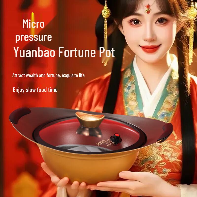 Le Qian Chu 5L Micro-Pressure Fortune Pot