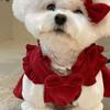 Puppy Bow Knot Dress Set Winter Warm Dog Clothes Pet Christmas Princess Dress Teddy Solid Color Skirt Send Clip