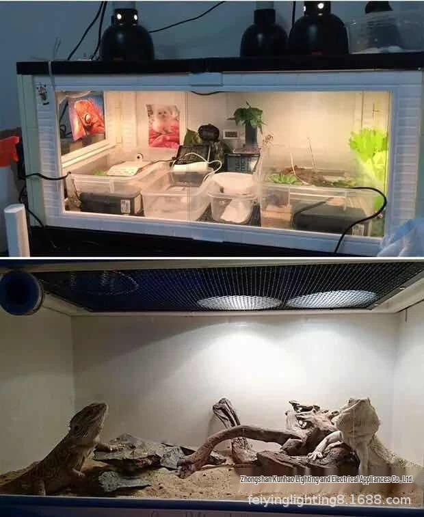 Turtle Basking Reptile Lamp: Adjustable Heat-Resistant Sun Lamp Cover with Focused Light and Heat Control