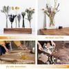 DIY Natural Dried Flower Set Eucalyptus Lavender Wheat Bunny Tails Billy Ball Flower Bouquet with Stems for DIY Crafts Home Wedding Vase Decor