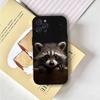Cute Canvas Raccoons  Phone Case For iPhone 16,15,14,13,12,11,Pro,X,XS,Max,XR,Plus,Mini Soft Black Cover