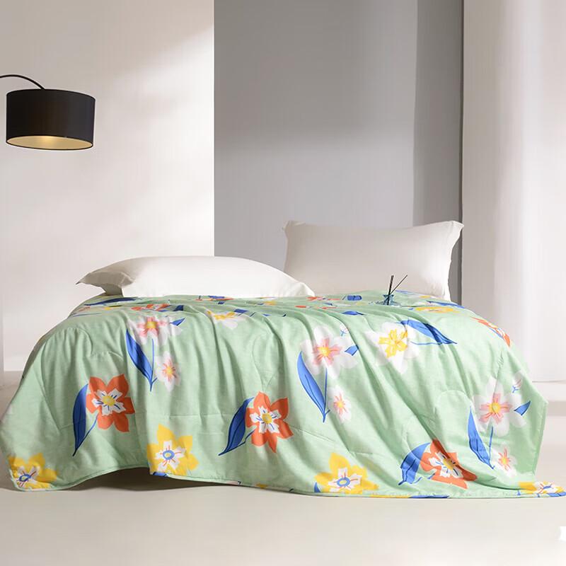 Hongxiu Shifang Soybean Fiber Blend Spring/Autumn Quilt