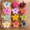 Sponka do vlasů Plumeria s barevným přechodem 1 ks