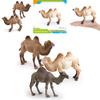 Animal Wildlife Pvc Model Single Hump Camel Decorative Toy For Kids Educational Gift