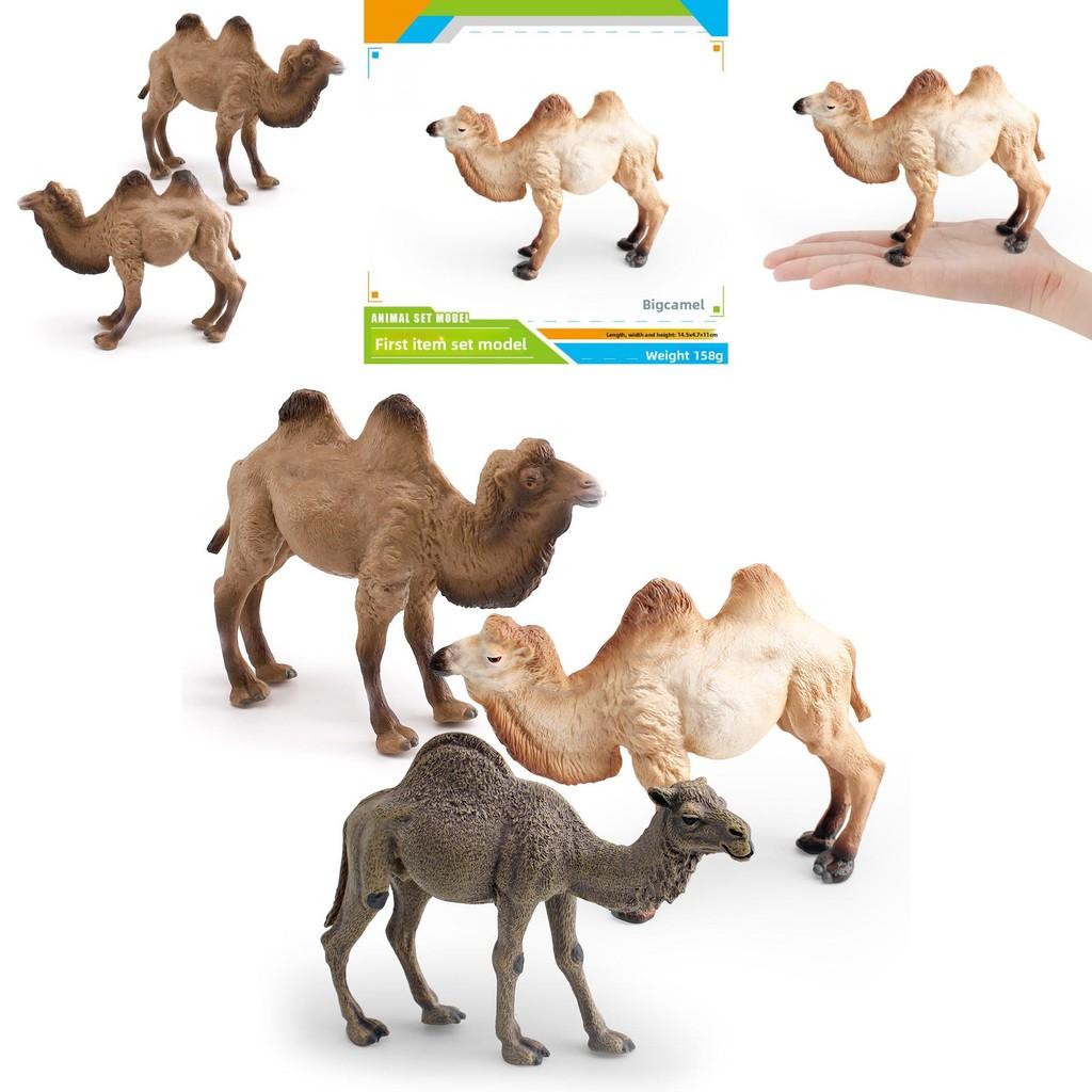Animal Wildlife Pvc Model Single Hump Camel Decorative Toy For Kids Educational Gift