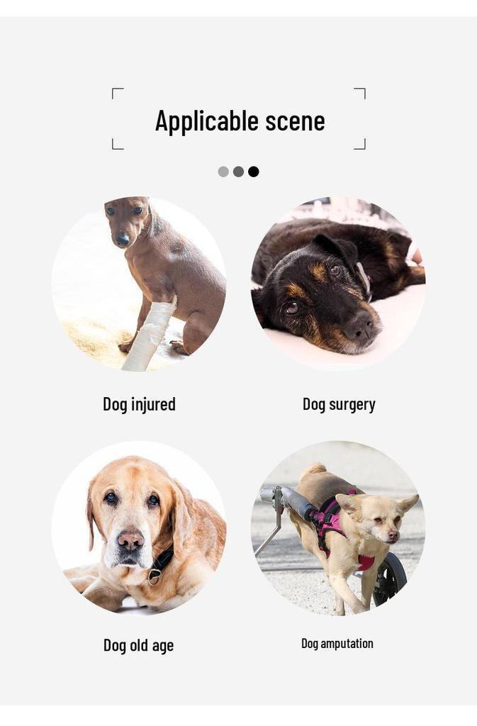 Senior Dog Support Harness for Rehabilitation: Chest Strap & Limb Assistance
