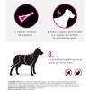 Frontline Tri-Act Chien - Anti-puces Anti-tiques Pour Chien S - 5-10kg - 6 Pipettes