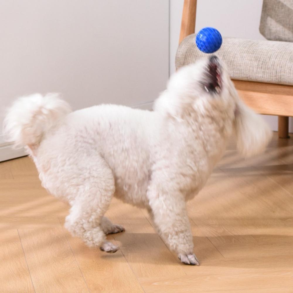 Rubber Dog Sound Ball Interactive Pet Toy Ball Easy To Clean Dog Chew Toy Indoor Play