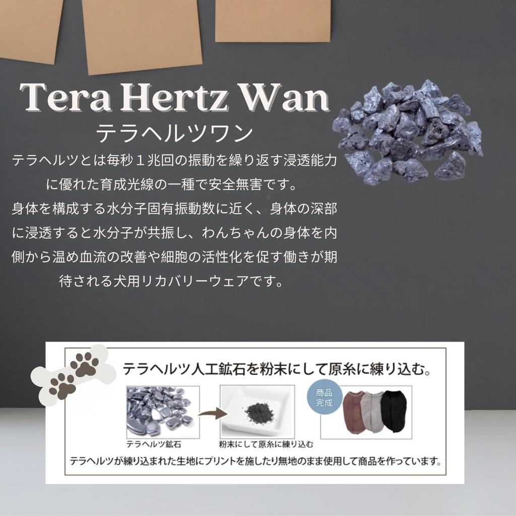 WAG WELL TOKYO x Terahertz One Dog Recovery Tank Top, Organic Cotton, Gray, Medium, Cool