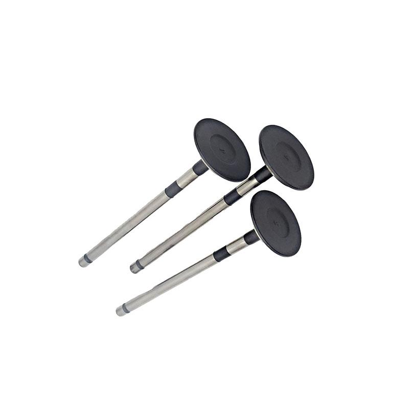 Suitable for Toyota Land Cruiser Prado(2TR 2.7L) 2004-2015 Exhaust Valve