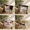 Cat Funny MEME Pillow Case Pillowcase Doublesided Printed Sofa Cushion Bedroom Headboard Pillow