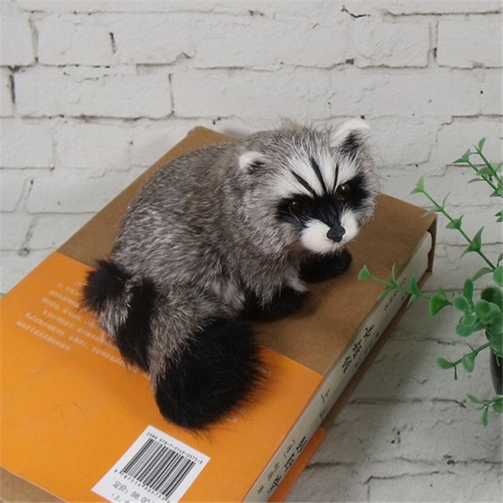 Animal Model Simulation Raccoon Model Educational Simulation 3D Raccoon Raccoon Figure  Art Craft