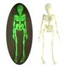 Yousheng 5Pcs 3D Printed Skeleton Refrigerator Magnet Poseable Skeleton Figurine with Movable Joints Halloween Gothic Skeleton Fridge Magnetic