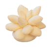 25cm Lifelike Succulent Plants Plush Stuffed Toys Soft Doll Creative Potted Flowers Pillow Chair Cushion for Girls Kids Gift