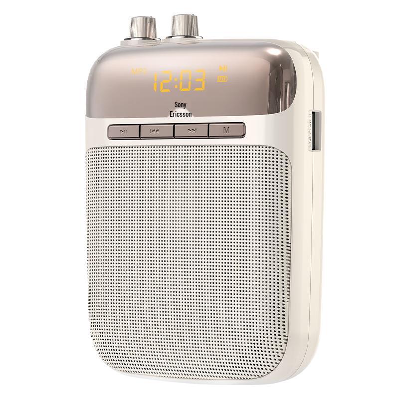 Soaiy S318/S318PRO Portable Bluetooth Amplifier