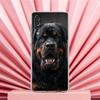 Phone Case For Samsung A56 A36 A26 A24 A16 A14 A12 A32 A50 A70 A20E A22 A40 A34 A54 A42 A52 5G A04s A06 Cover Rottweiler Dog